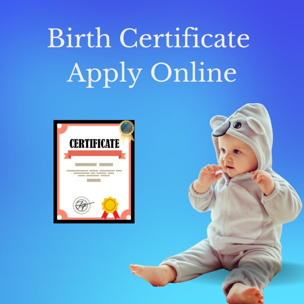 Birth Certificate Apply Online Services By Galaxy Services